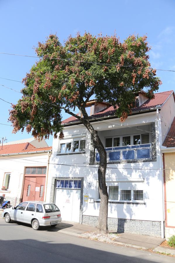 Hiv-Lak Apartman Eger Ngoại thất bức ảnh